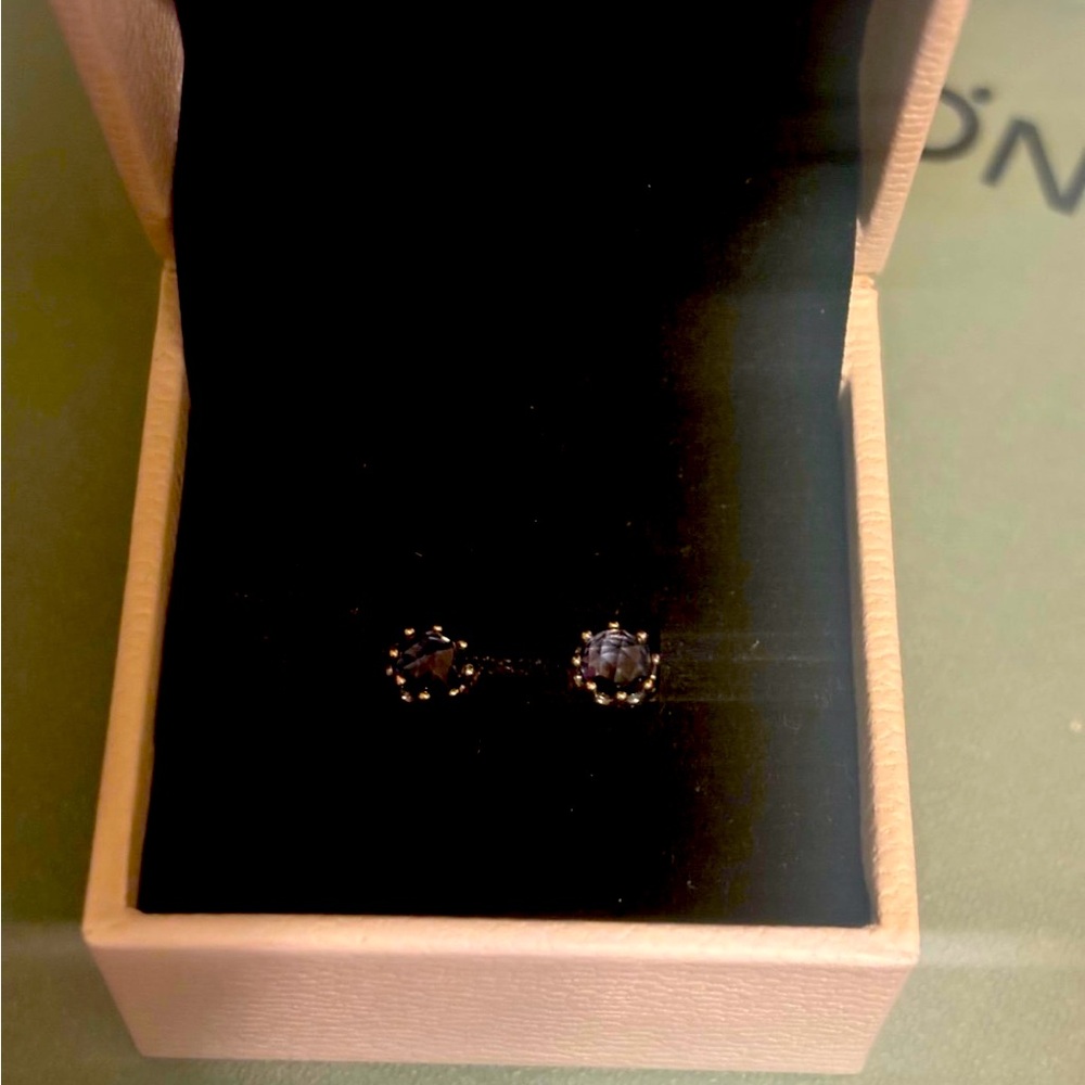New in box Pandora earrings